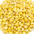 FD Super Sweet Kernel Frozen sấy khô